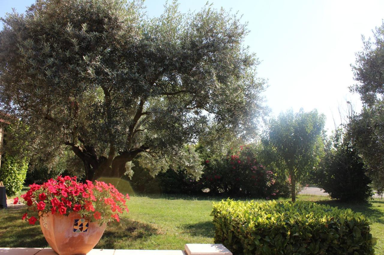 Logis La Grande Bastide Hotel Oraison Kültér fotó